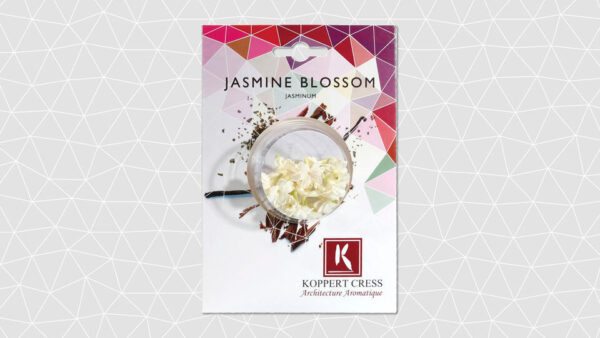 Fresh jasmine blossoms - 1 CupCard (25 pieces) - Dutch Wasabi