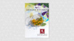 Verse Sechuan Buttons (Spilanthes) - 1 CupCard (30 bloemetjes) - Image 3