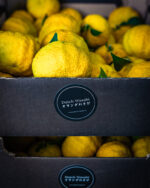 Verse rijpe gele yuzuvrucht uit Nederland - 1 kg (8-10 stuks) - Bild 2