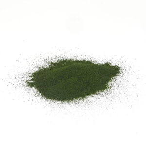 Algae powder emerald green - from the Netherlands - 180 grams