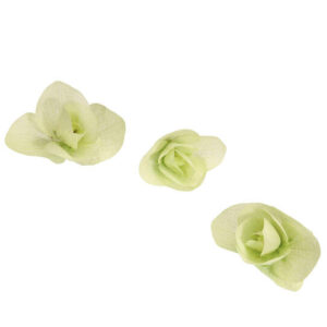 Fresh Floregano (orginanum) - 1 CupCard (20 florets)