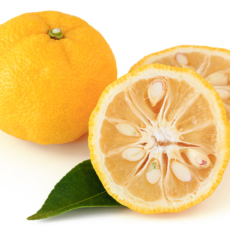 Frische reife gelbe Yuzu - aus den Niederlanden - 1 Stück (ca. 100 g)