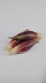 Verse myoga gember uit Japan - ca. 50 gram (per 3 verpakt) - Afbeelding 2